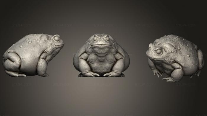 Animal figurines (Toad Sculpture, STKJ_1561) 3D models for cnc